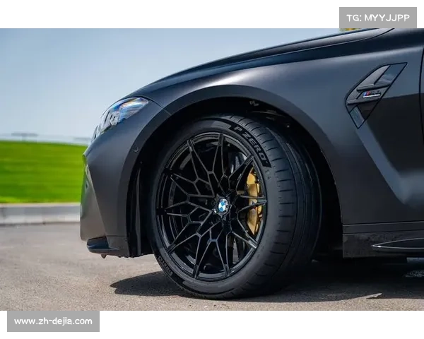 倍耐力解析匈牙利站策略中性胎与硬胎性能接近助非常规战术成功